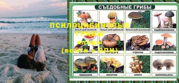 индика Бородино