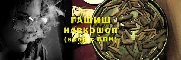 индика Бородино