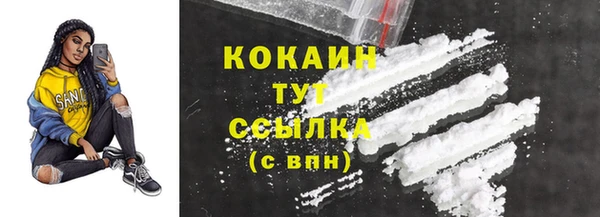 индика Бородино