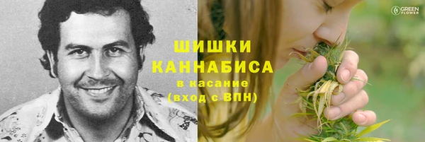 индика Бородино
