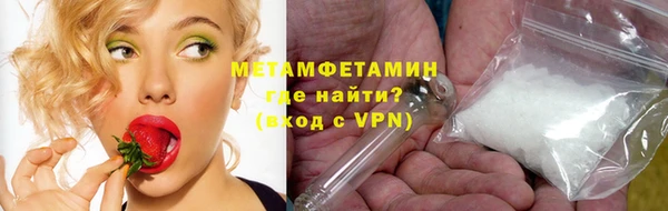 индика Бородино