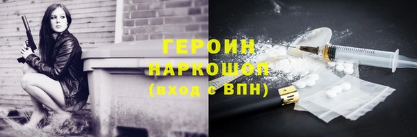 индика Бородино