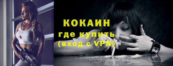 индика Бородино