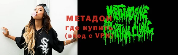 индика Бородино