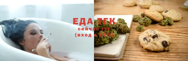 индика Бородино