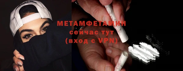 индика Бородино