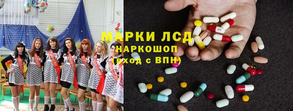 индика Бородино