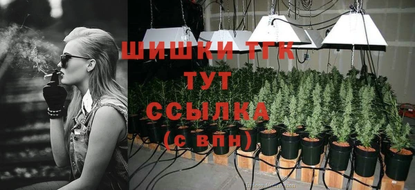 сатива Богородицк