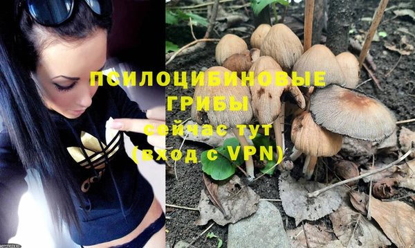 бошки Богданович
