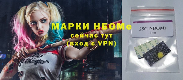 индика Бородино