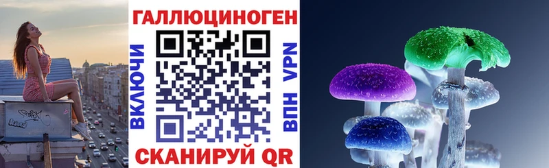 Купить закладки  Канаш  Галлюциногенные грибы прущие грибы 